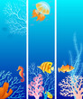 Vertical sea life banner