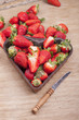 frisch geerntete Erdbeeren