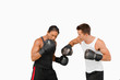 Foto: Side view of fighting boxers Side view of fighting boxers