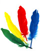 Photo en ligne au meilleur prix Background with colored feathers