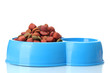 dry dog food and water in blue bowl isolated on white