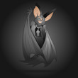 Bat