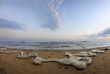 beach with fishing networks