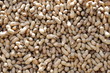cacahuetes en vrac