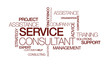 Service consultant management training tag cloud illustration