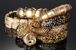 Beautiful golden bracelets and rings on grey background