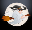 Spooky Witch Vector