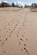 Dunes.
