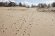 Dunes.