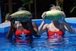 Two young Cuban girls Two young Cuban girls