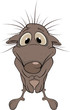 Small hedgehog. Cartoon
