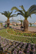 Blumen am Hafen von Alanya, Türkei