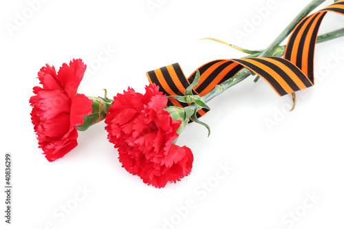 Photo: carnations and St. George's ribbon isolated on white carnations and St. George's ribbon isolated on white