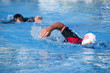 Zwei Schwimmer
