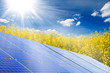 renewable energy