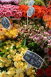 Photo: Blumenmarkt Blumenmarkt