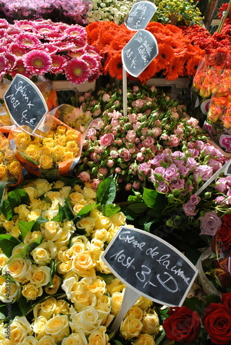 Photo: Blumenmarkt Blumenmarkt