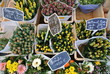 Photo: Blumenstand Blumenstand