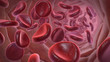 Blutbahn mit Erythrozyten (rote Blutkörperchen)