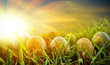 Photo: Colorful Easter eggs decorated with flowers in the grass Colorful Easter eggs decorated with flowers in the grass