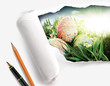 Photo: easter eggs scene easter eggs scene