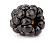 canvas print picture - One ripe blackberry