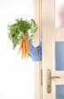 Hand with carrots