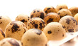 quail eggs in their plastic packaging quail eggs in their plastic packaging