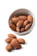 almond