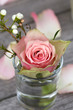 Flower spring decoration
