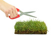 Foto: Rollrasen mit Schere Rollrasen mit Schere