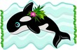 Killer Whale Swimming Killer Whale Swimming