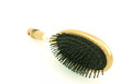 Brush on White