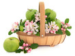 Granny Smith Apples