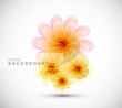 abstract beautiful flower vector background art abstract beautiful flower vector background art