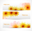 Beautiful Flower background brochure vector Beautiful Flower background brochure vector