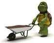tortoise gardener with a wheel barrow carrying soil tortoise gardener with a wheel barrow carrying soil