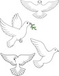 Vector: Dove vector Dove vector