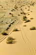 Tyre tracks in the desert landscape of Wadi Rum