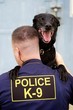 His K9