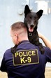 K9 Team