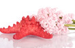 Pink flowers and starfish