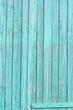 Holztür,mint,mit Beschlag