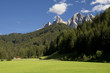 Fields of South Tirol