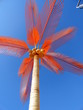 Plastepalme