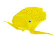 Golden fish origami