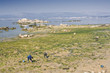 Mariscadoras