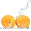 albicocche splash