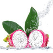 dragon fruit splash