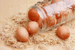 organic eggs